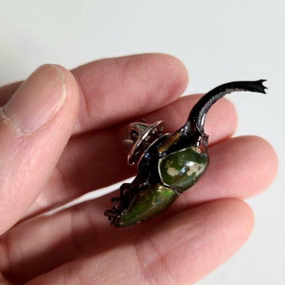 Vintage realistic looking green scarab pin. Bug unisex pin. - Picture 3 of 10